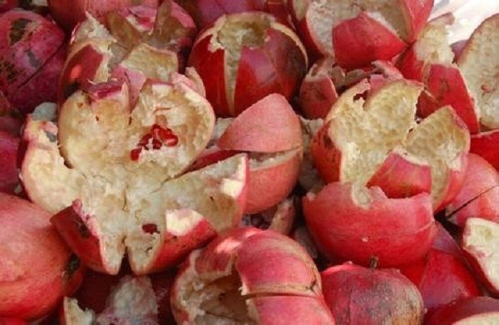 Нар кора